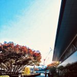 IMG_1321.HEIC